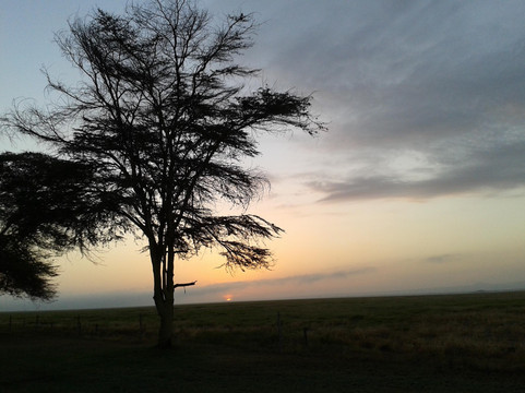 Kenya Incentive Tours & Safaris - Day Tours-内罗毕必去景点