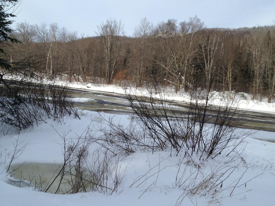 Domaine Saint Bernard-塔伯拉山必去景点