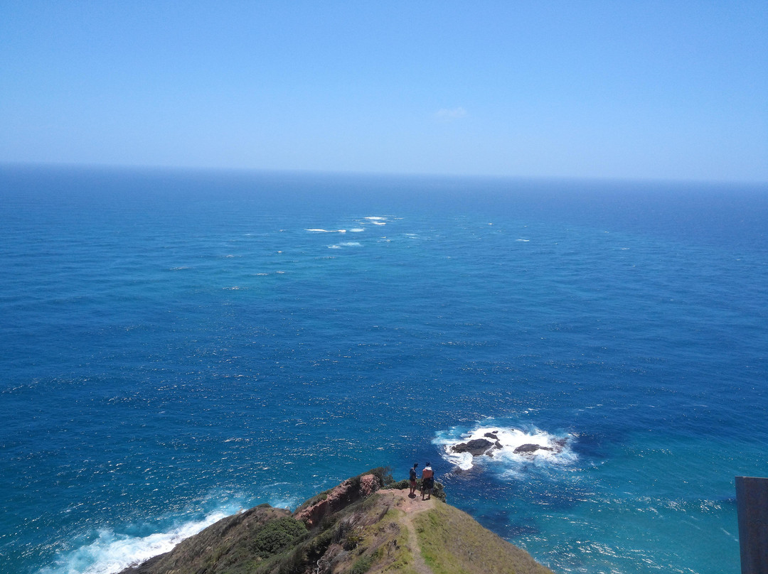 Cape Reinga Lighthouse景点图片