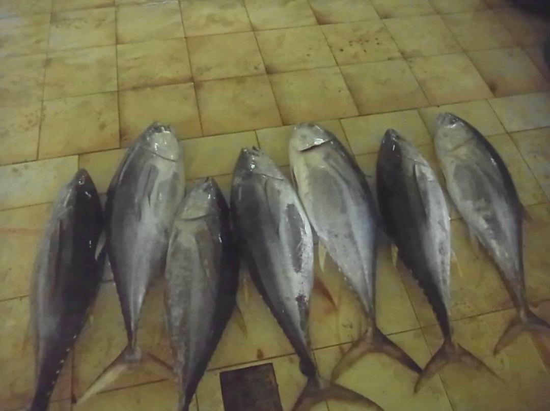 雄鱼市场-马累必去景点