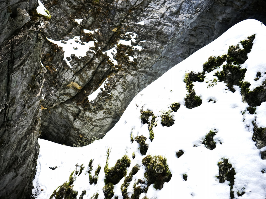 神农顶国家自然保护区-神农架林区必去景点