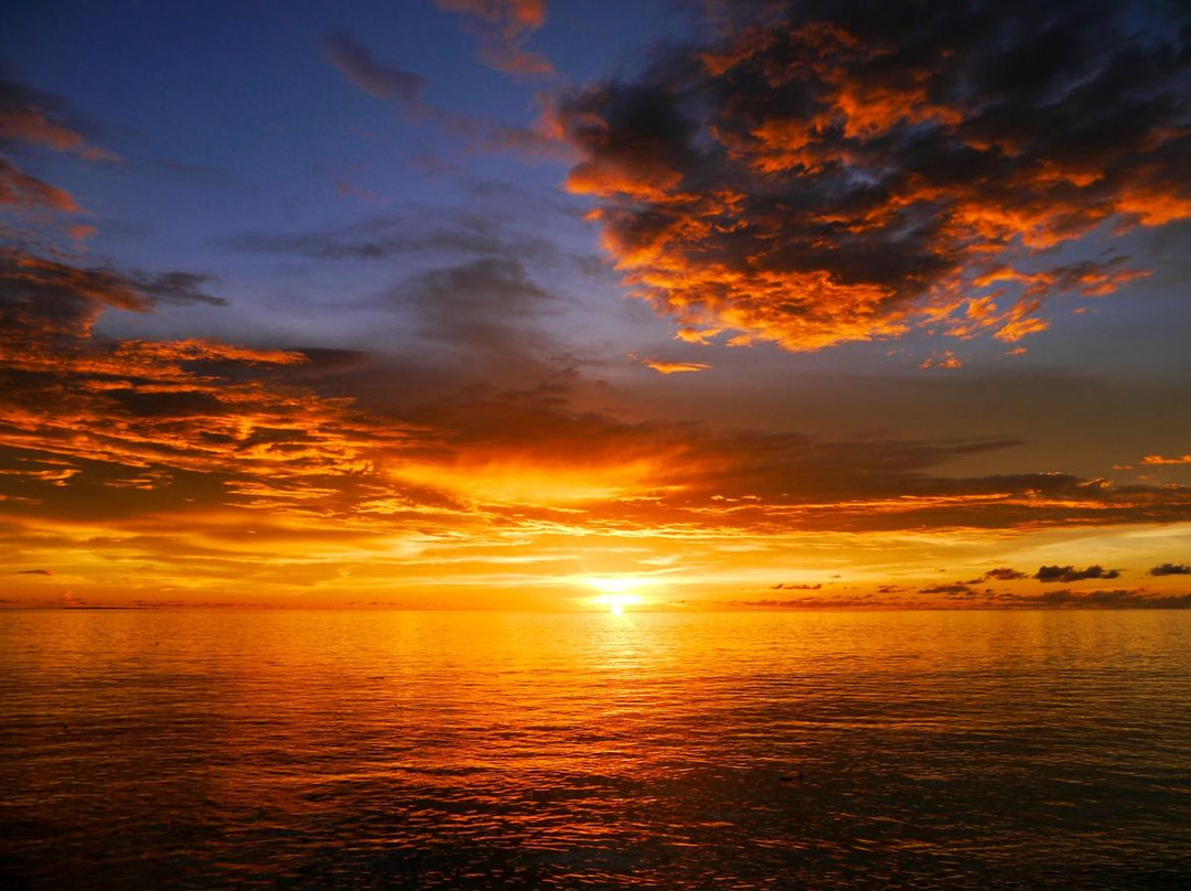 Sea Sanctuaries Trust-四王岛必去景点