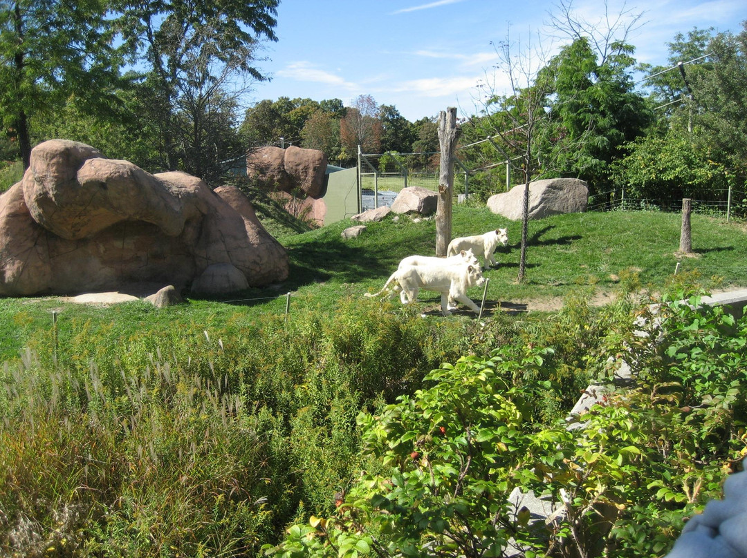多伦多动物园-多伦多必去景点