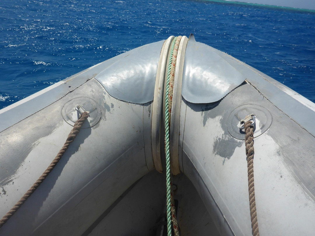 Ha'apai Whale and Sail Ltd-Uoleva Island必去景点