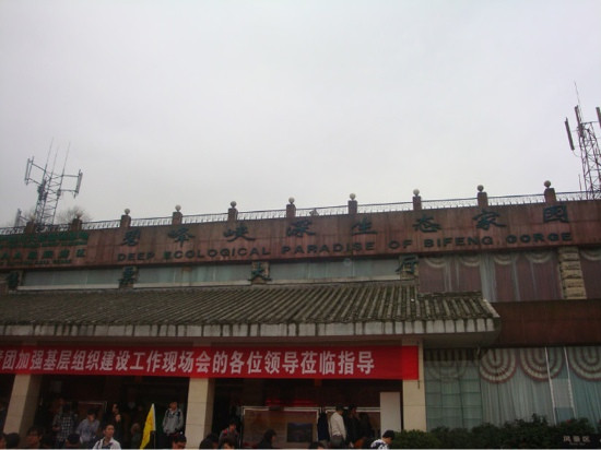 雅安碧峰峡-雅安市必去景点