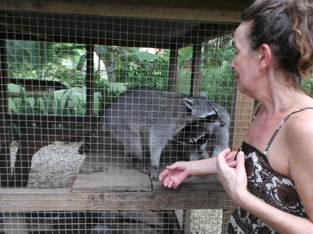 La Selva Wildlife Refuge景点图片