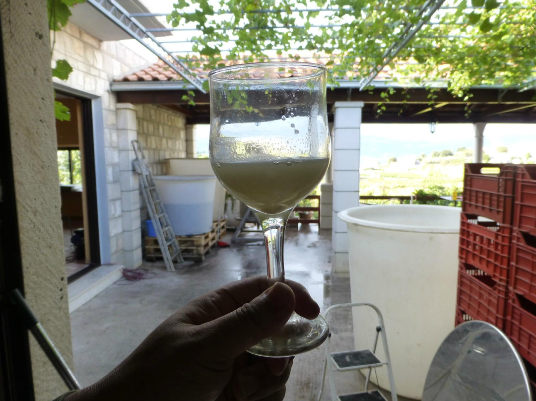 Korcula Explorer景点图片