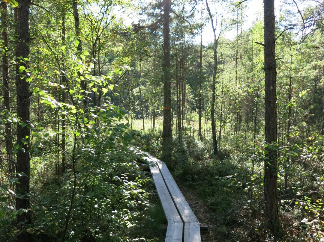 Store Mosse Nationalpark-Hillerstorp必去景点