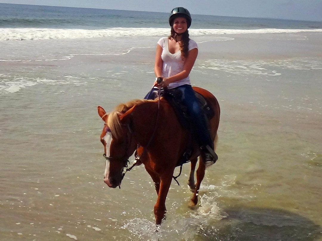 Happy Trails Walking Horses-费尔南迪纳岛必去景点