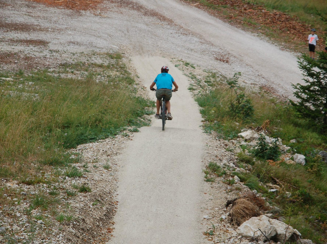 Mountain Bike Nomad Day Tours景点图片
