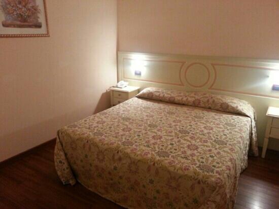 Hotel Plazza Porcari-客卧