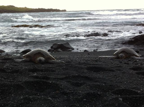 夏威夷芥末欢乐观光之旅-凯鲁瓦-柯纳必去景点
