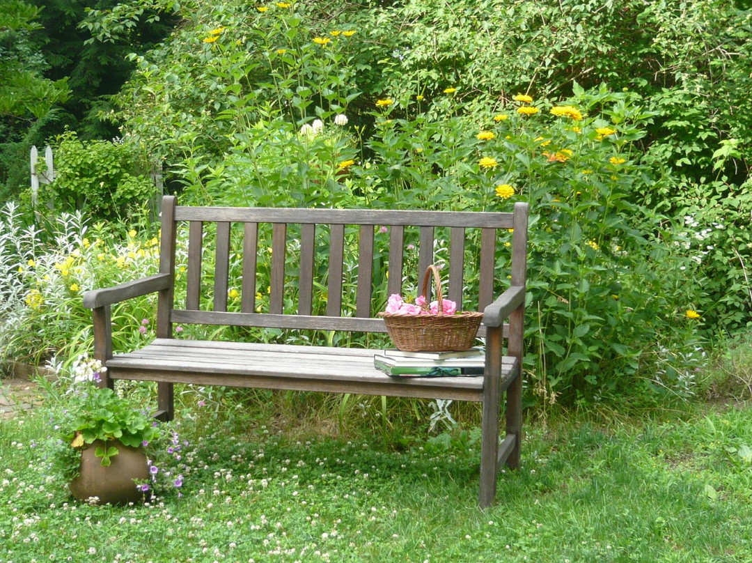 A Little Guest House主图