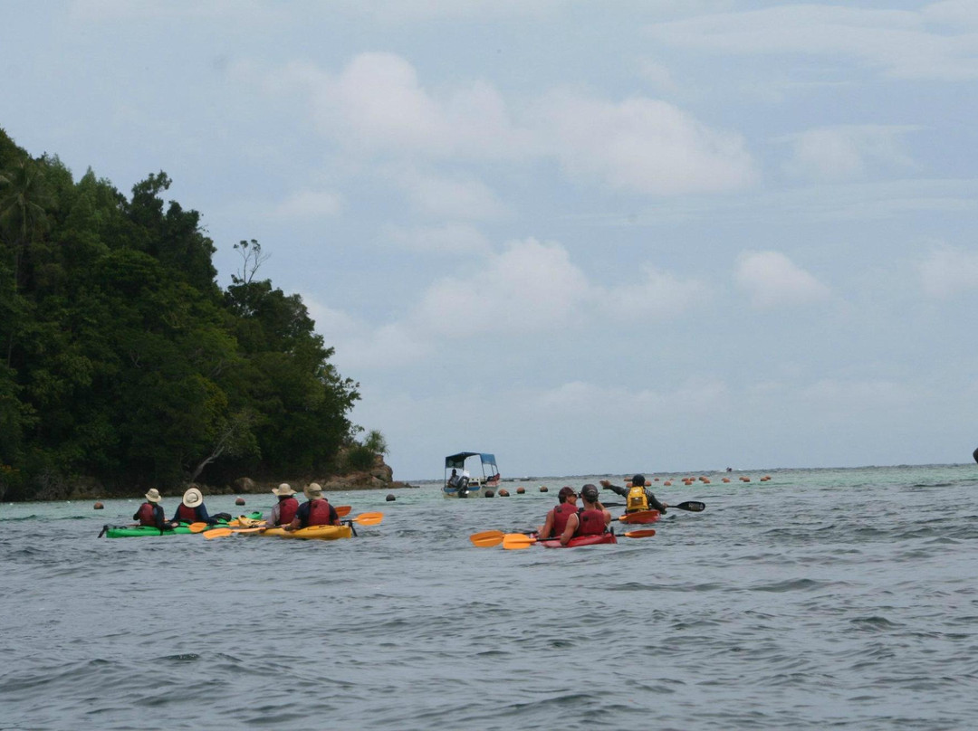 Wavehunterasia-亚庇必去景点