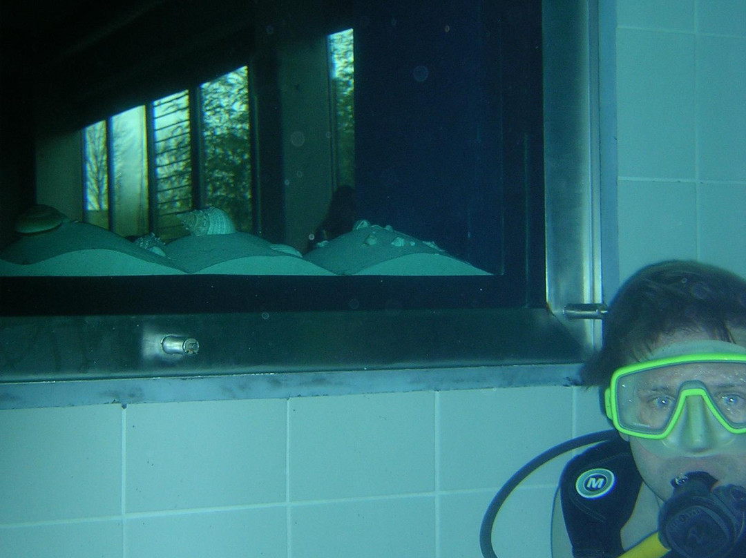 Nemo 33景点图片