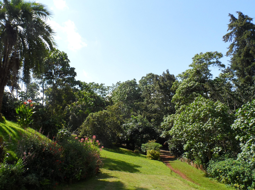 Brown's Cheese Factory & Farm-内罗毕必去景点