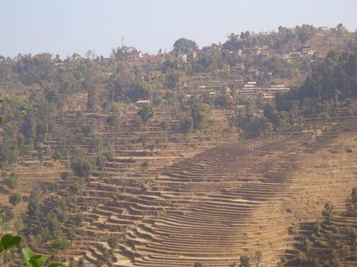 Nareshwor Home Stay主图