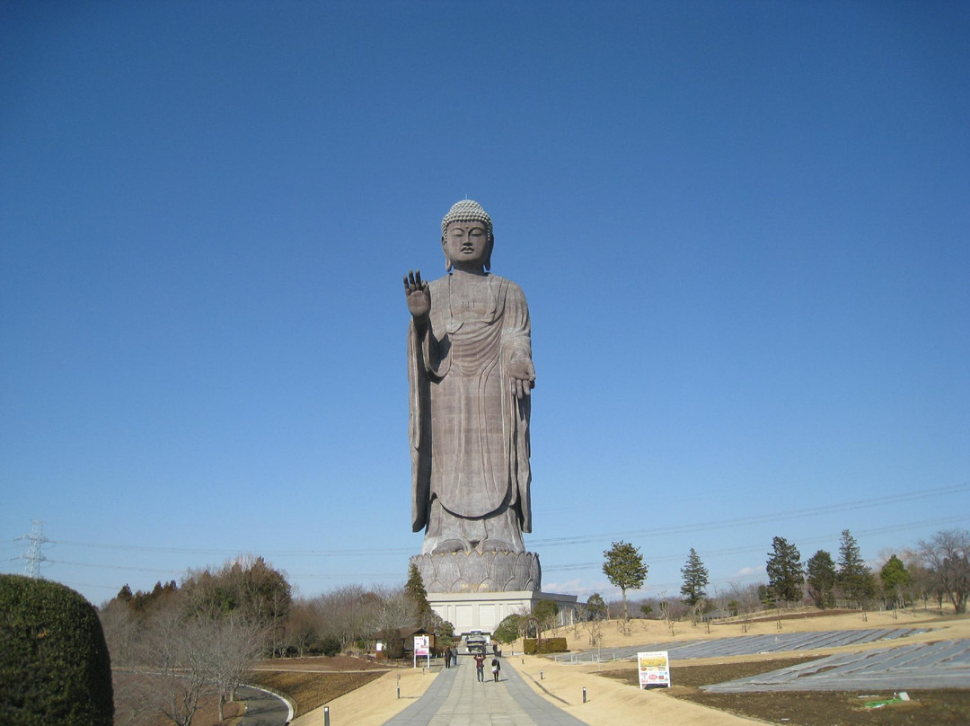 Ushiku Daibutsu-牛久市必去景点