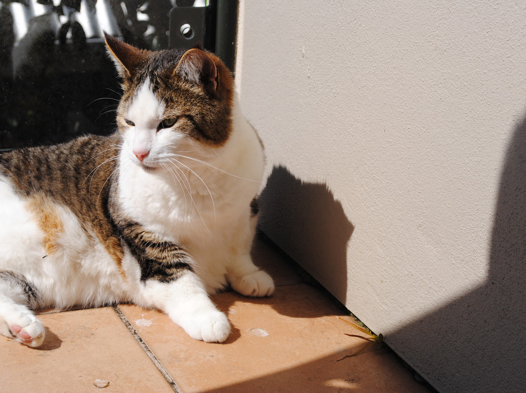 Terry and Cindy's Bed and Breakfast主图