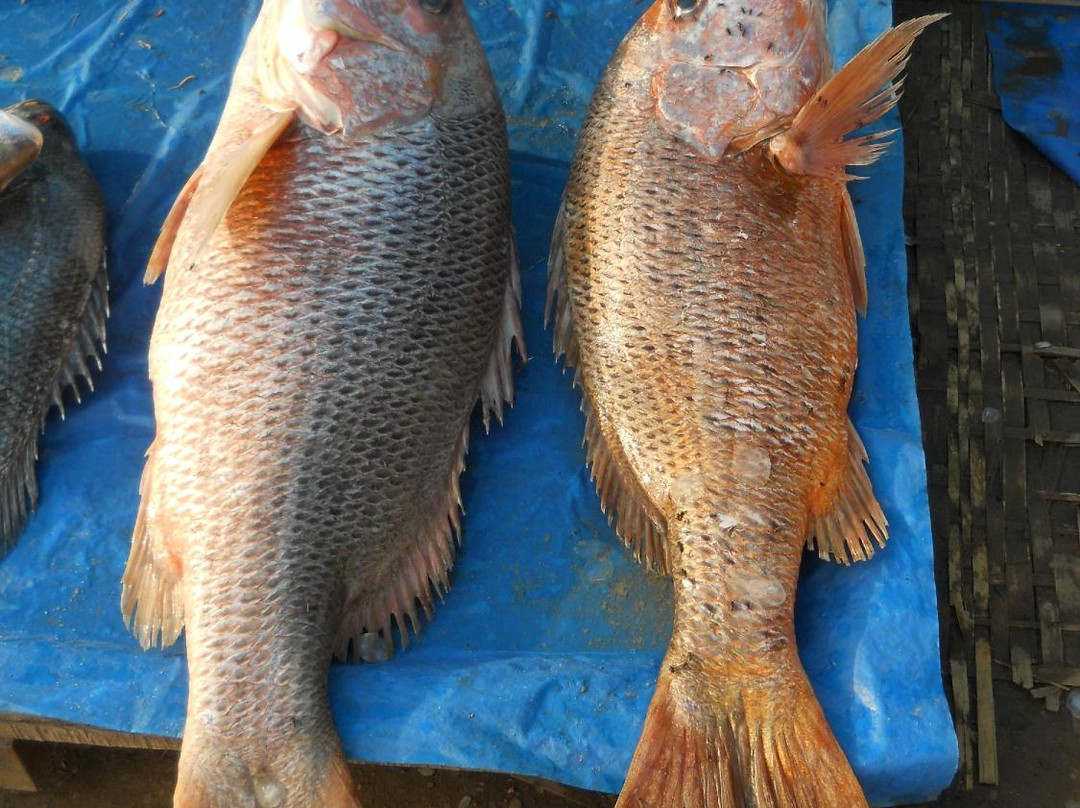 Digha Mohana Fish Market景点图片