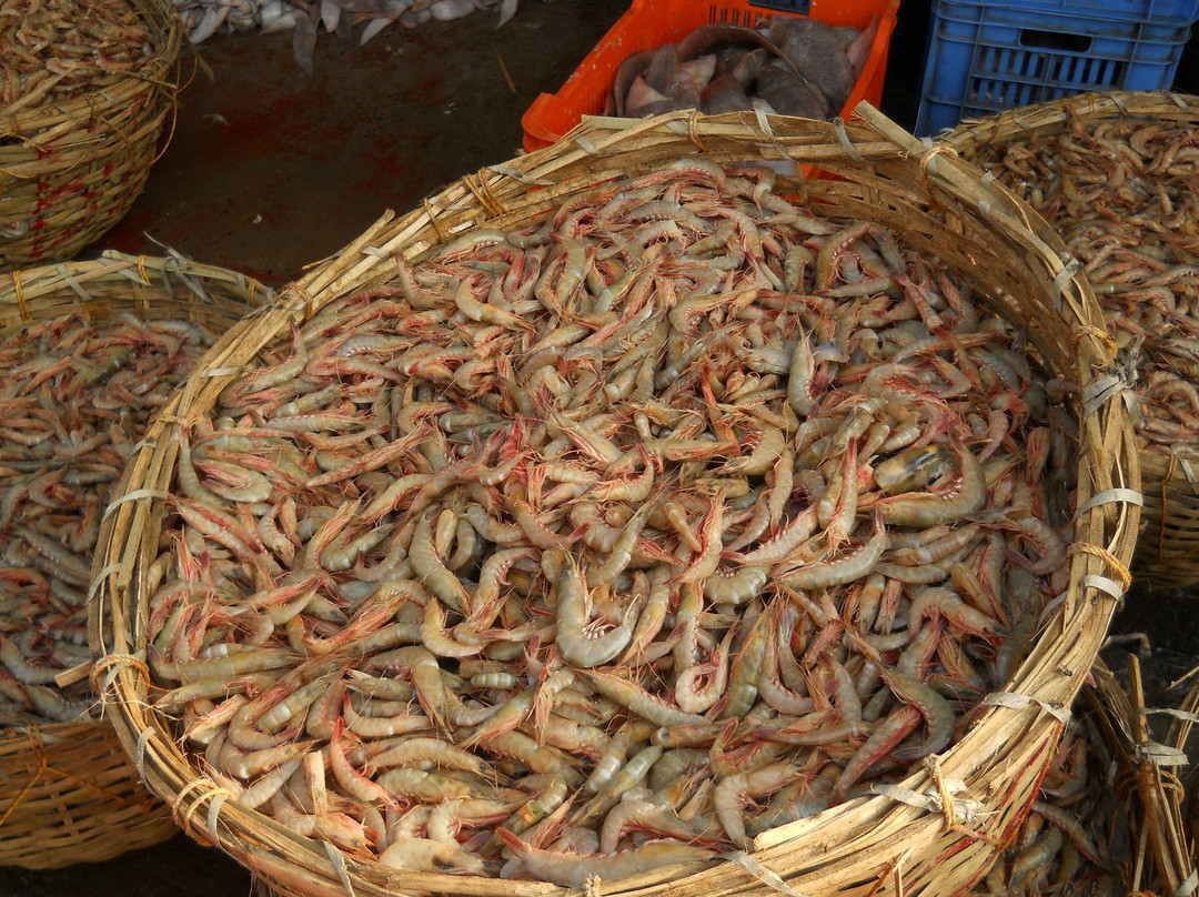 Digha Mohana Fish Market景点图片