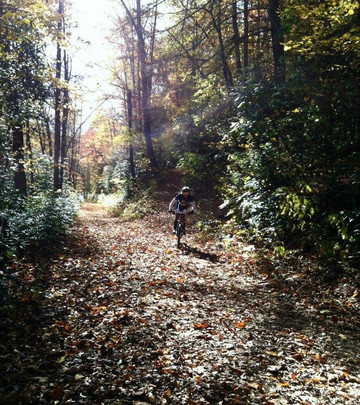 Pisgah Mountain Bike Adventures - Day Tours-阿什维尔必去景点