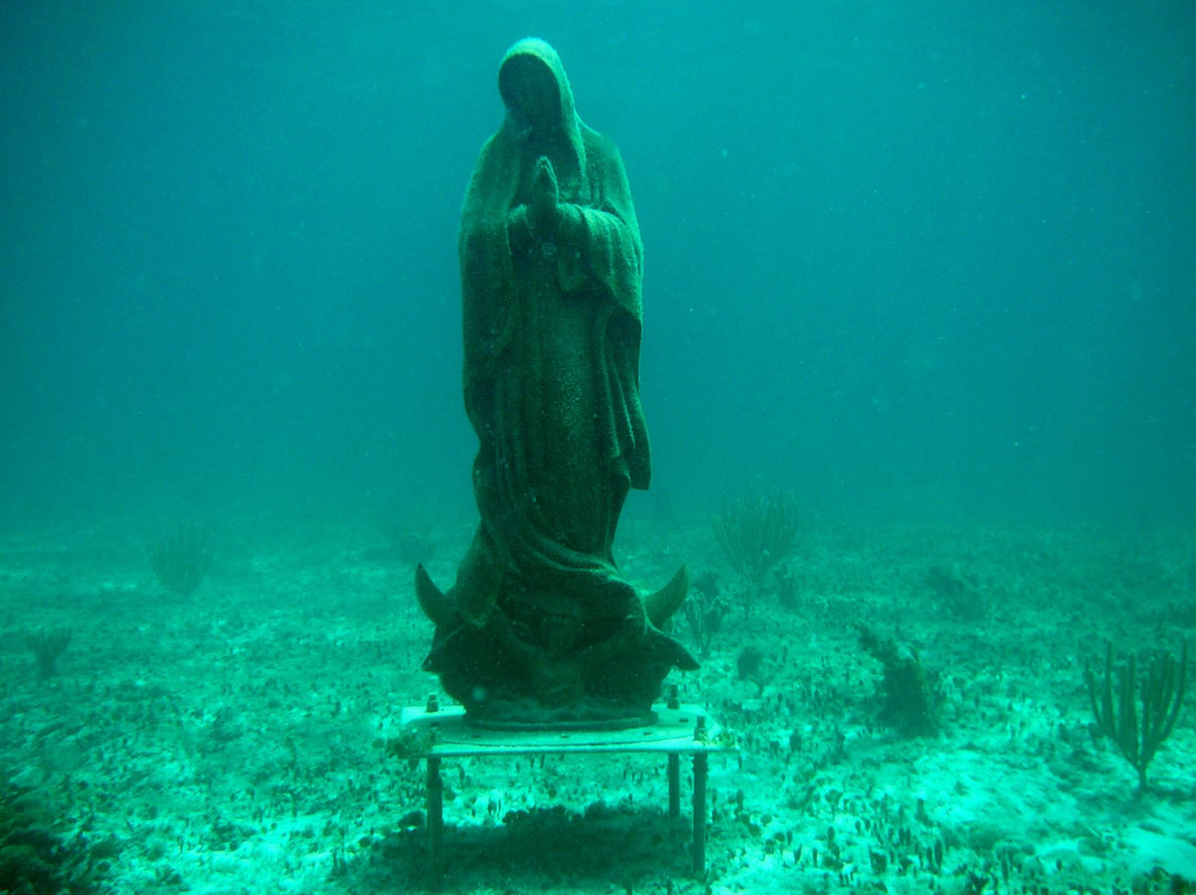 Cozumel Pearl Farm-考祖梅必去景点