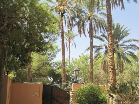 Figuig酒店住宿-Hôtel Figuig