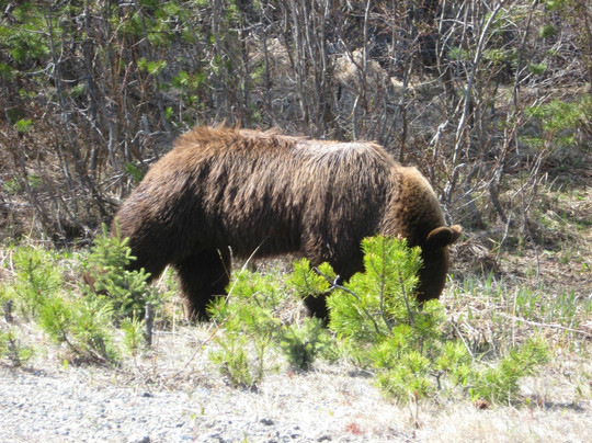 Art Glass Alaska-史凯威必去景点