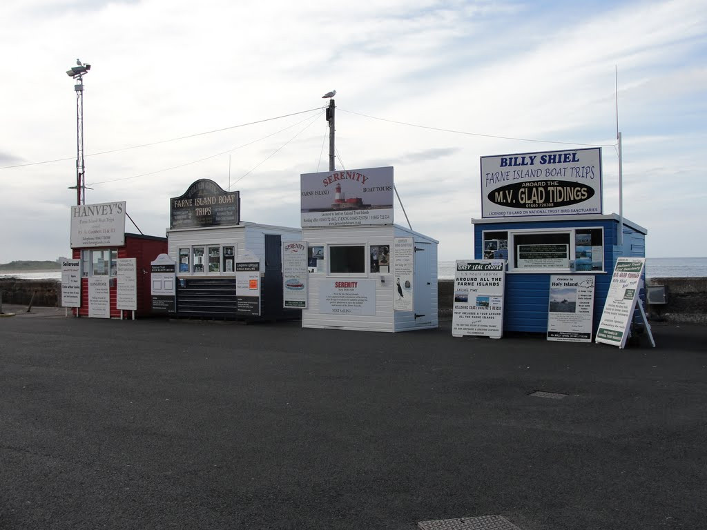Serenity Farne Island Boat Tours-Seahouses必去景点
