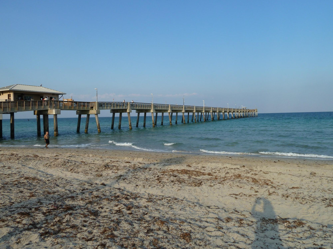 滨海劳德代尔旅游攻略图片