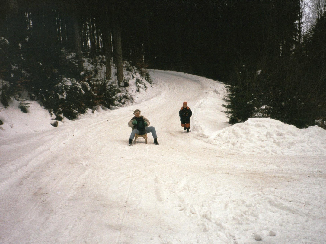 Foedinger Alm-Weyregg am Attersee必去景点
