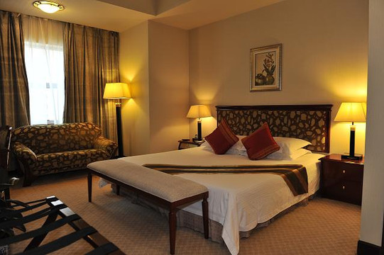 重庆丽苑维景国际大酒店（沙坪坝高铁站店）主图