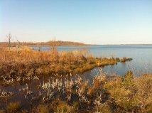 Pocosin Lakes National Wildlife Refuge-Columbia必去景点