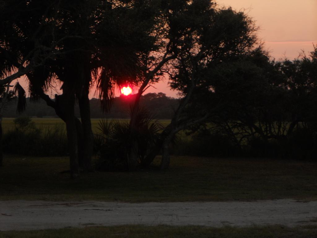 Edisto Beach State Park景点图片
