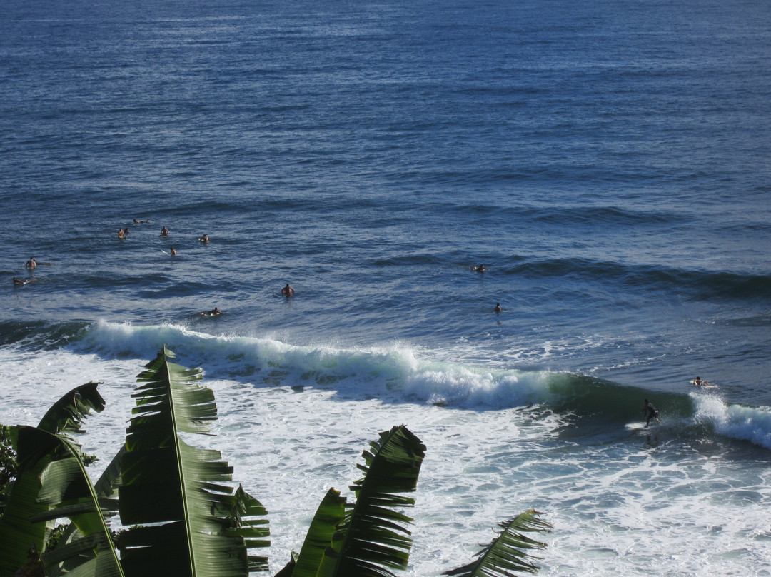 荷诺利海滨公园-希洛必去景点