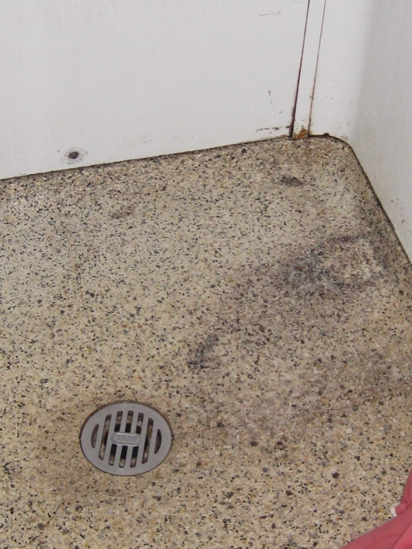 Tanglewood Motel and Cottages主图