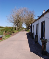 Moorclose B&B-官方
