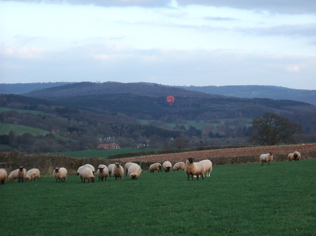 Penylan Farm Cottages主图