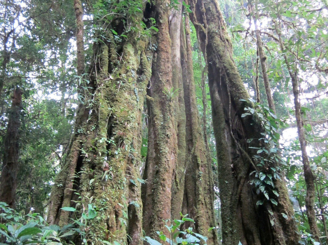Guides of Monteverde-蒙特沃德必去景点