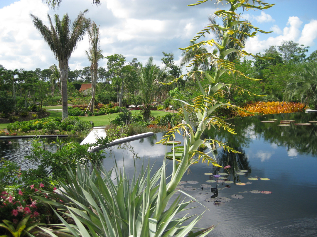 Naples Botanical Garden-那不勒斯必去景点
