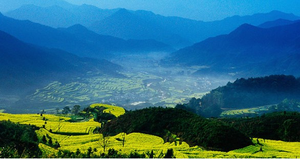 婺源油菜花地-婺源县必去景点