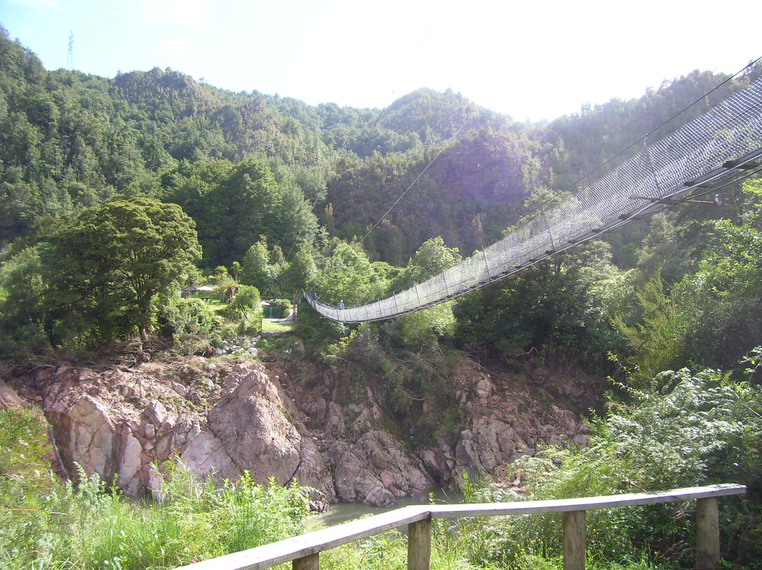 Buller Gorge Swingbridge Ltd景点图片