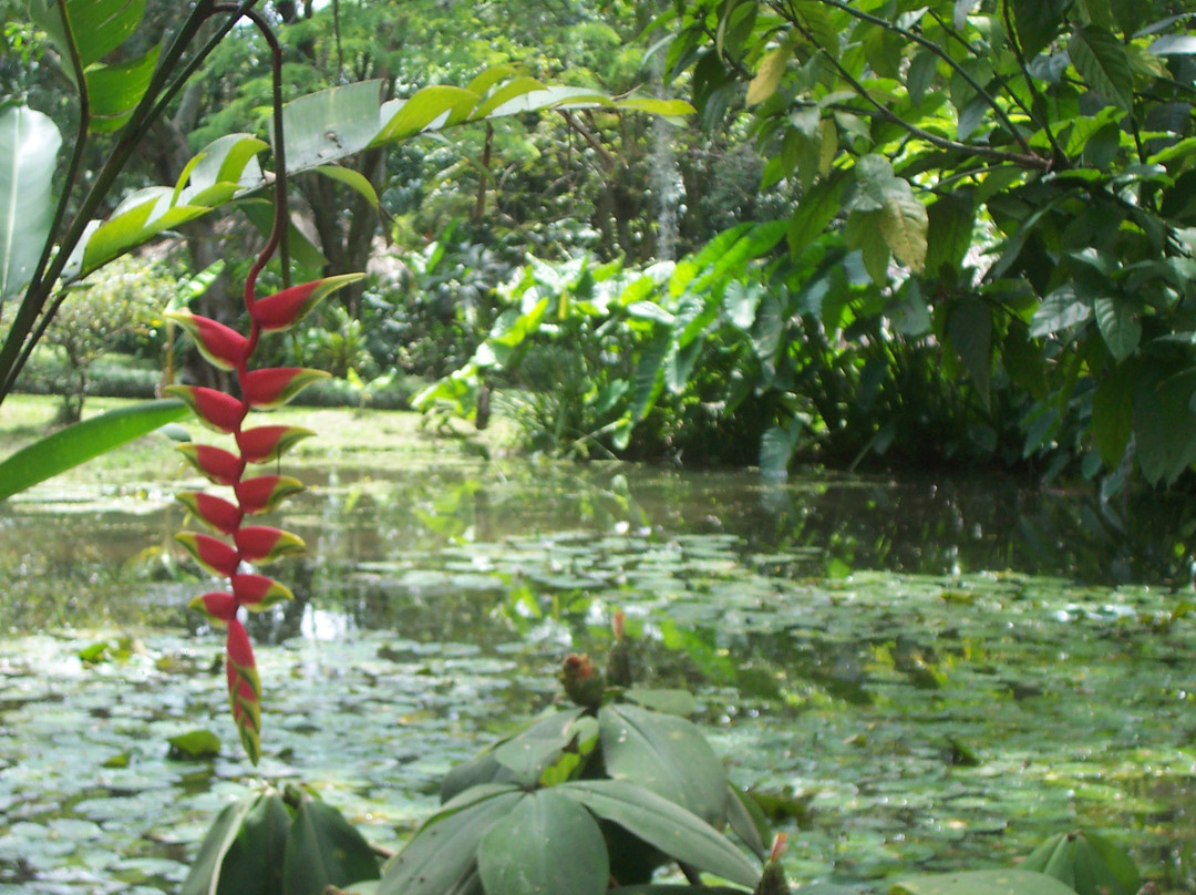 Panaca-Quimbaya必去景点