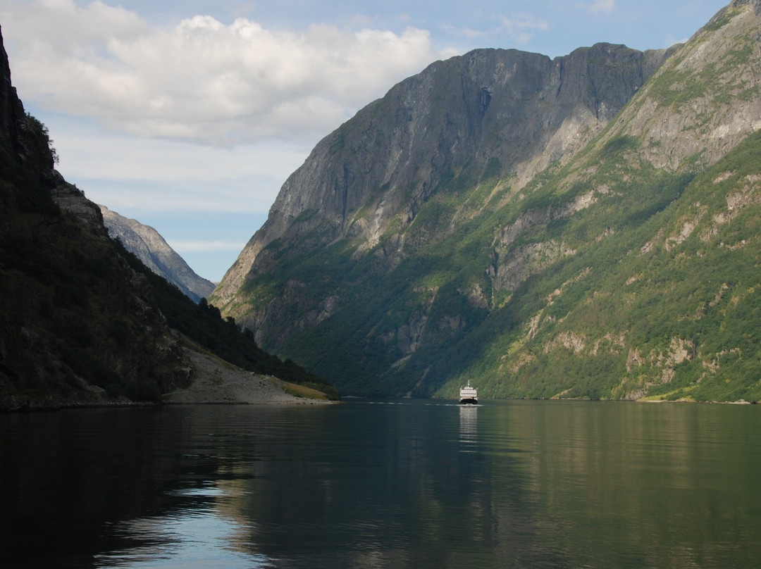 Fjord Tours-卑尔根必去景点