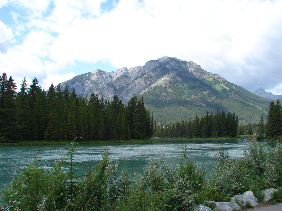 弓河-卡尔加里必去景点