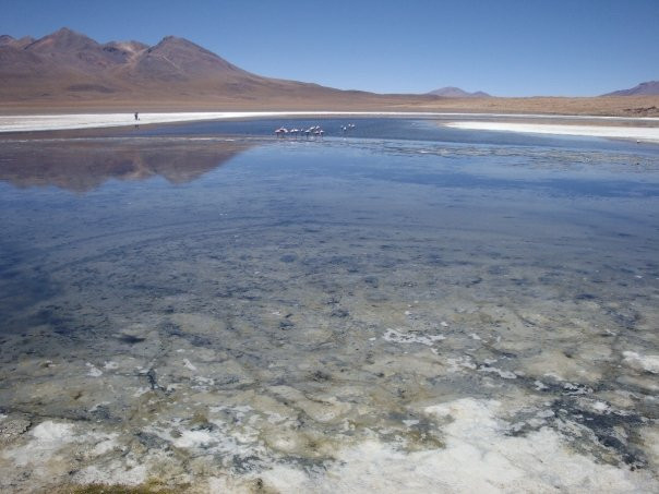 Laguna Verde景点图片