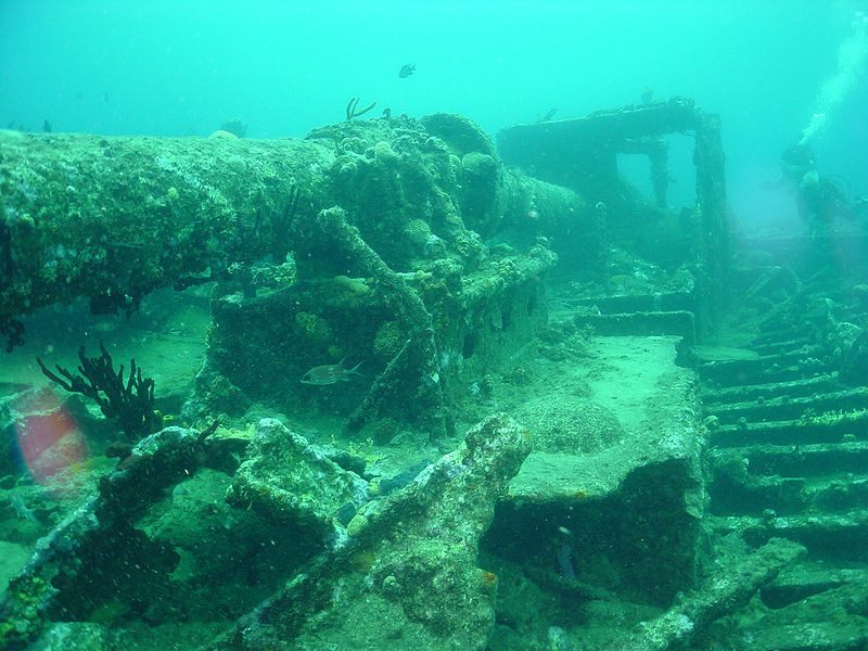 Rhone National Marine Park景点图片