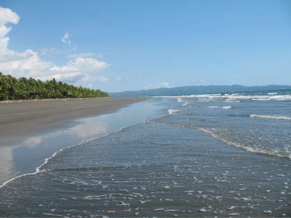 Cabinas Los Cocos-泳池