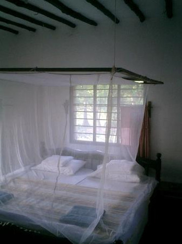 Andy's Karibuni Romantic Garden主图